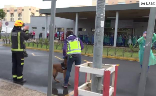 Vídeo | La patrulla canina de la Policía se une al agradecimiento a los sanitarios del Clínico